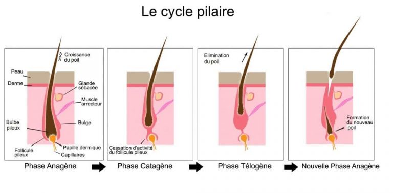EPILATION LASER - Centre Laser Médical Silice Fontainebleau Avon