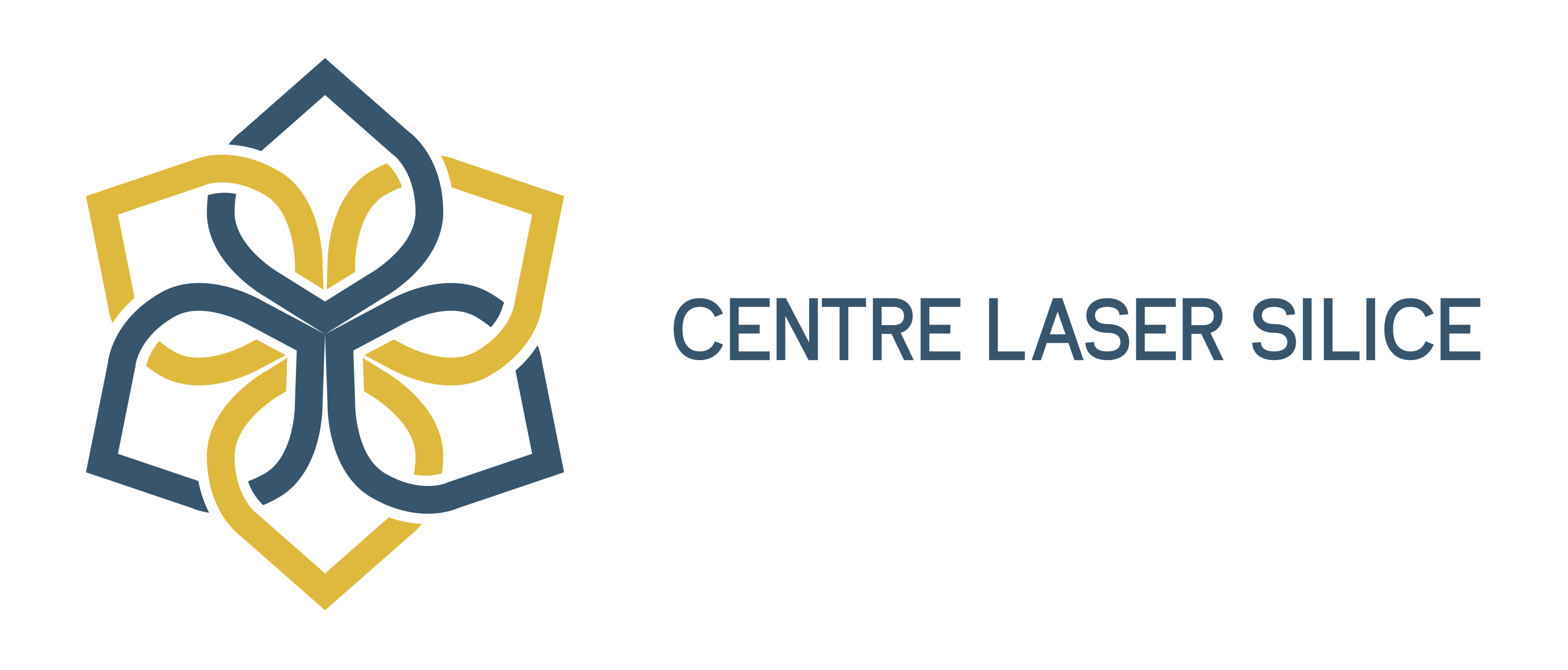 Centre Laser Silice